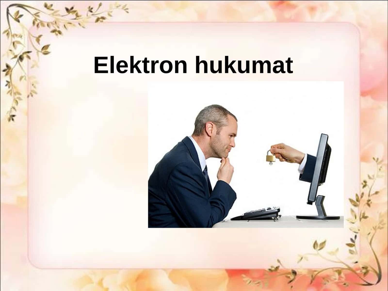 Elektron hukumat