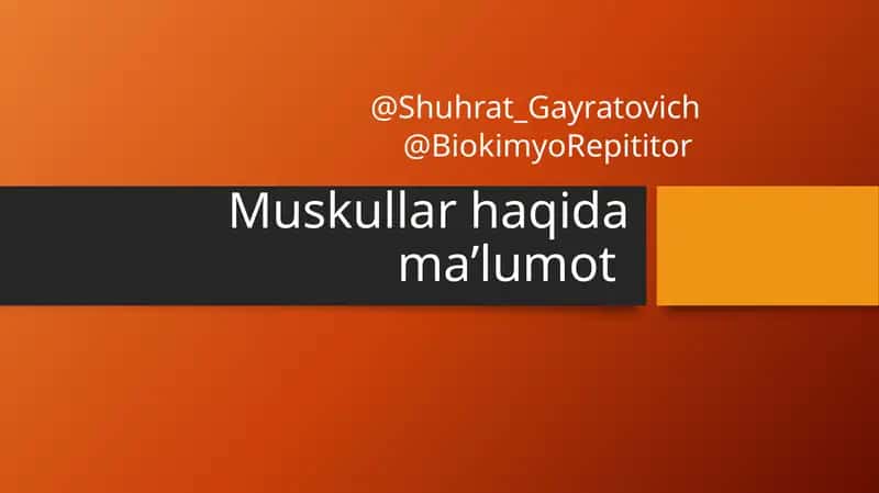 Muskullar haqida ma'lumot