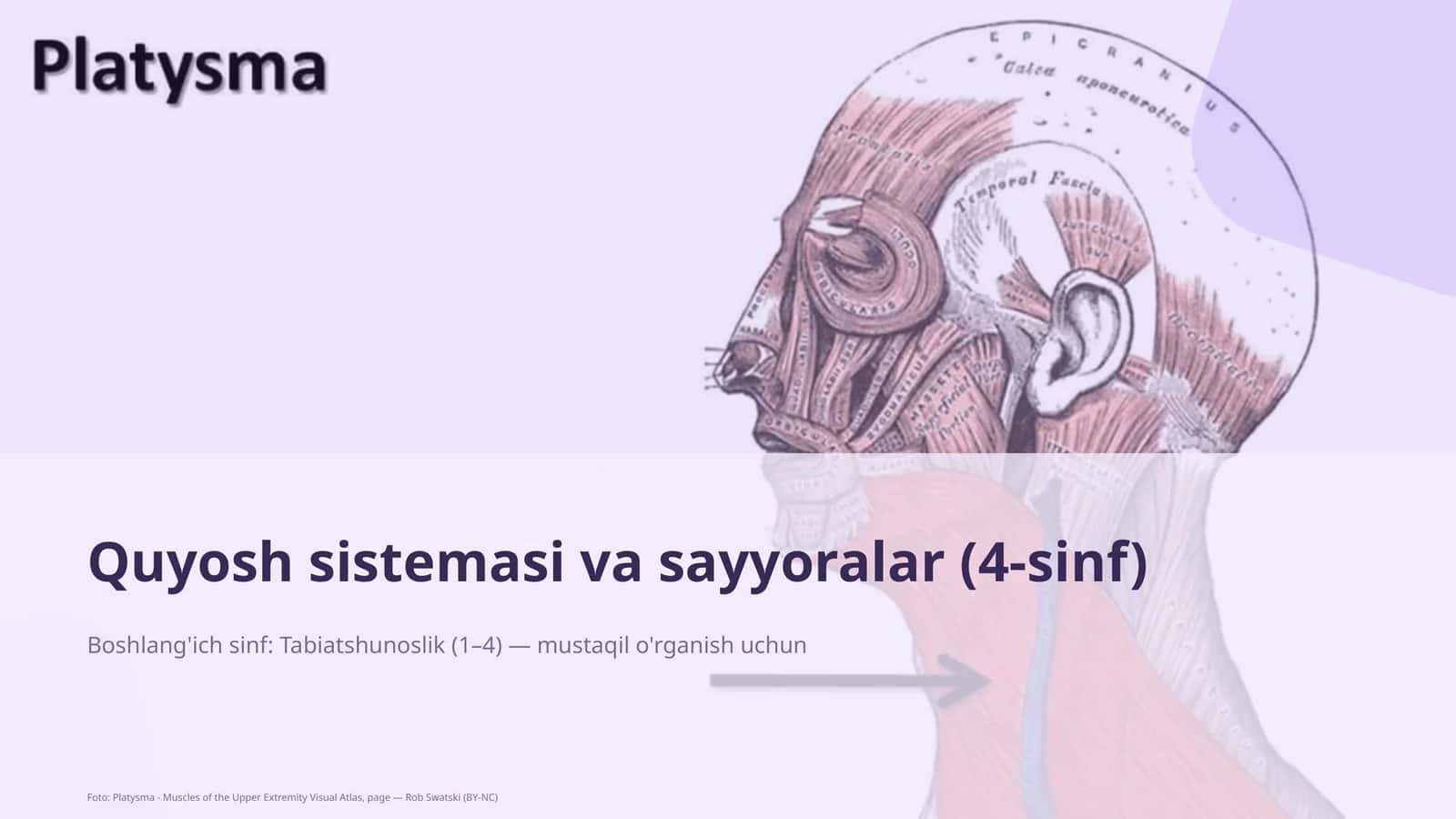 Quyosh sistemasi va sayyoralar (4-sinf)
