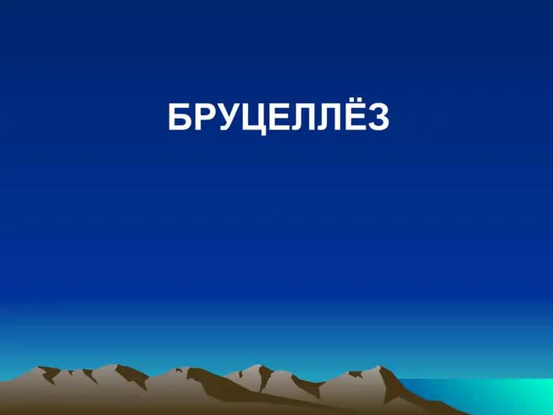 Бруцеллёз