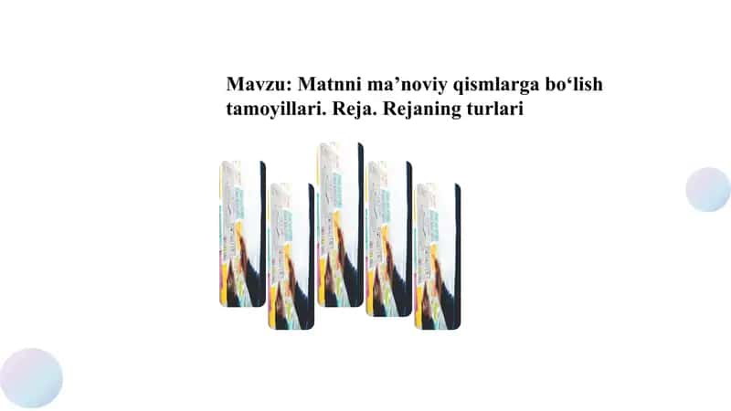 Matnni ma’noviy qismlarga bo‘lish tamoyillari. Reja. Rejaning turlari