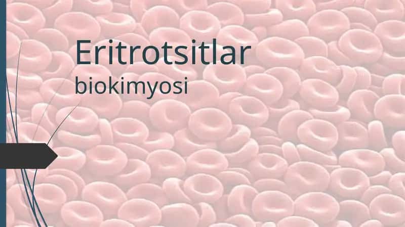 Eritrotsitlar biokimyosi