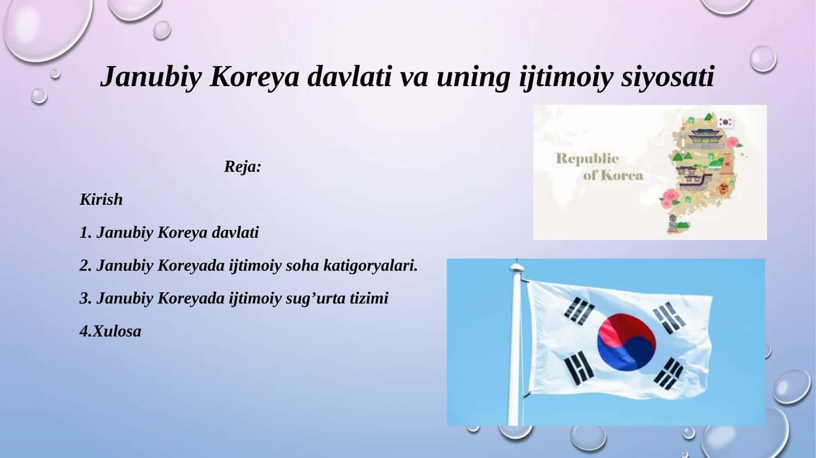 Janubiy Koreya davlati va uning ijtimoiy siyosati