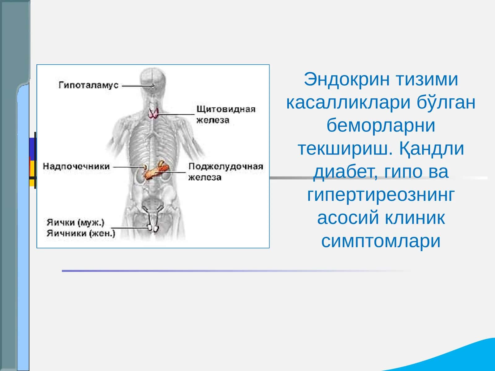 Эндокрин тизими касалликлари
