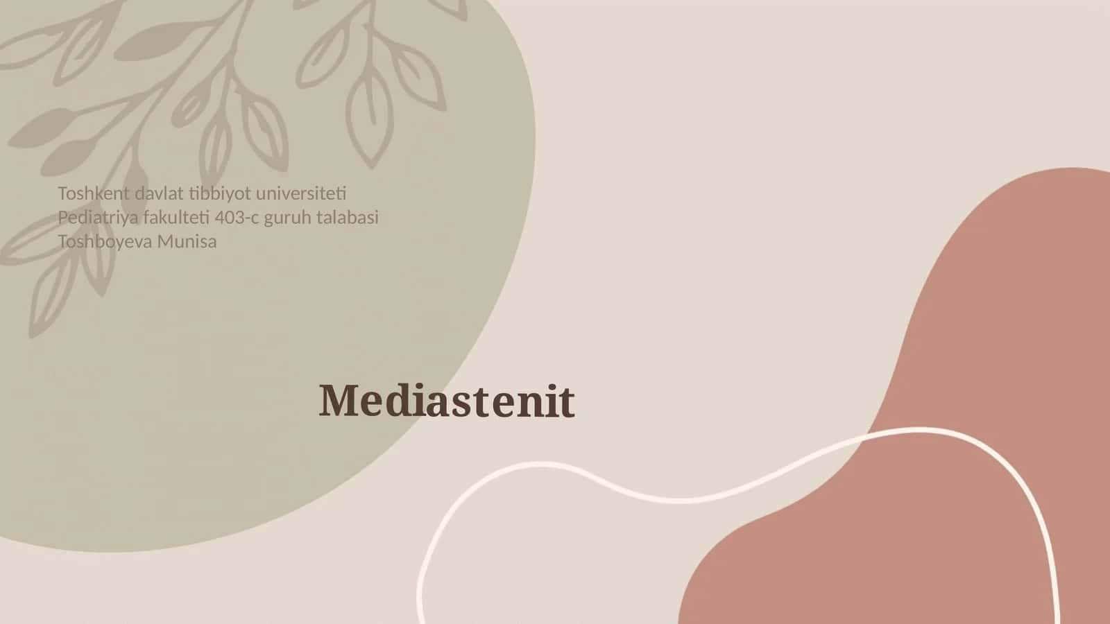 Mediastenit