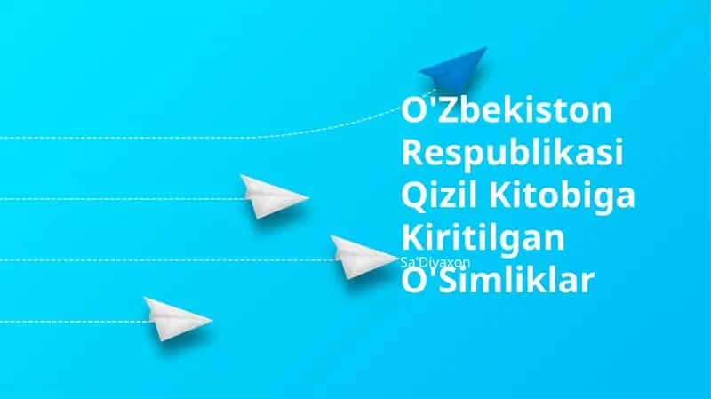 O'simliklar