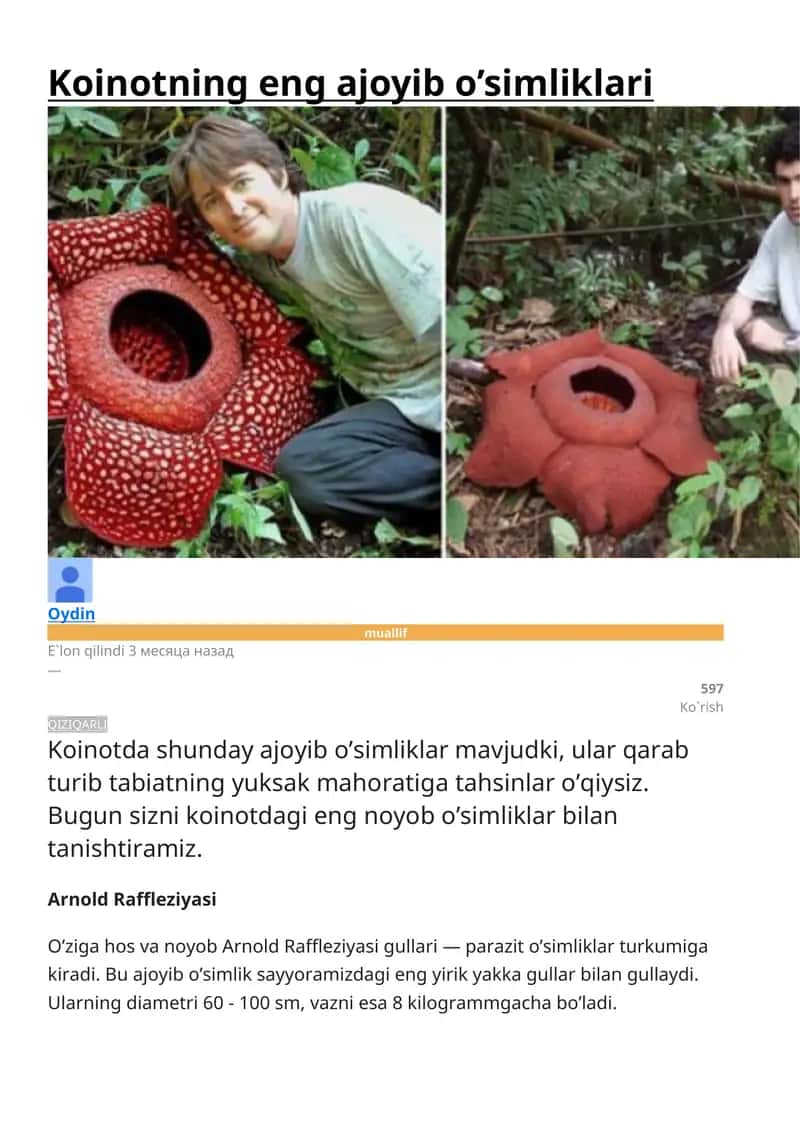 Arnold Raffleziyasi