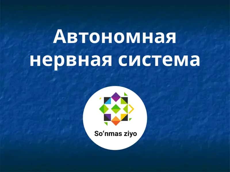 Автономная нервная система