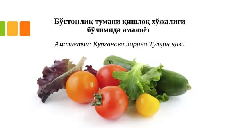Бўстонлиқ тумани қишлоқ хўжалиги амалиёти