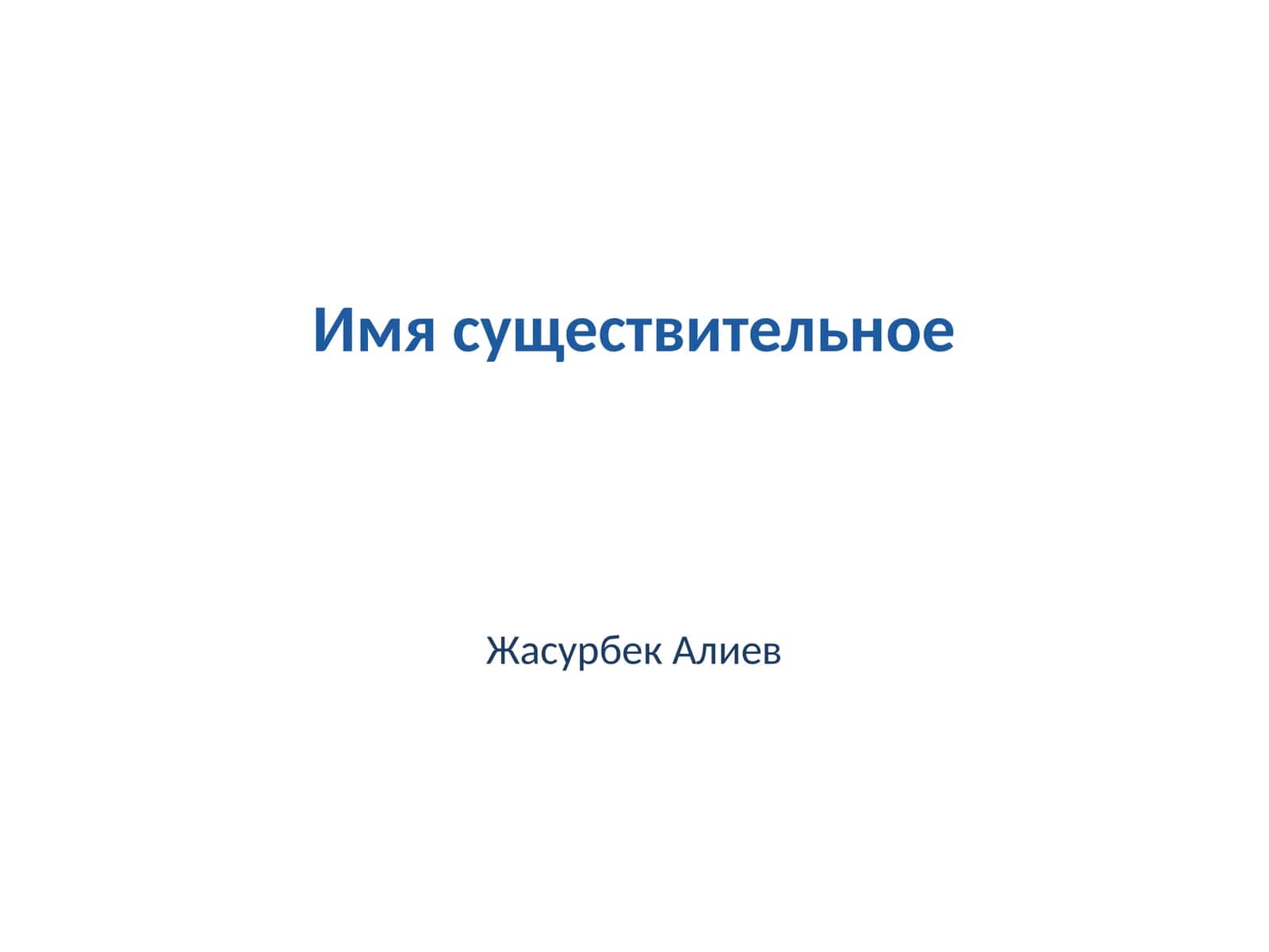 Имя существительное