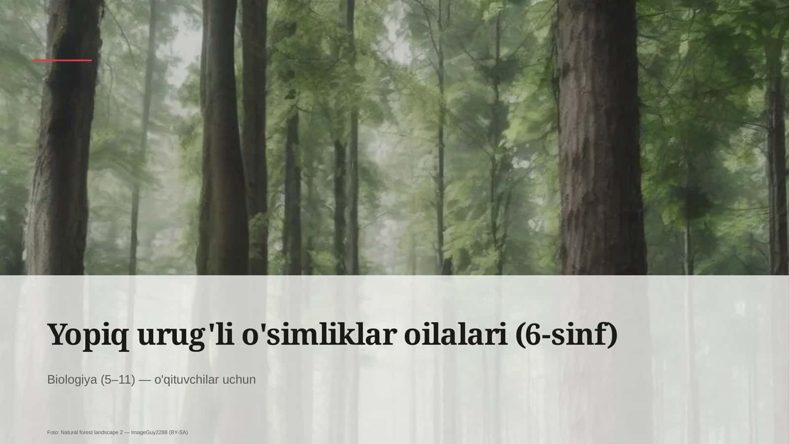 Yopiq urug'li o'simliklar oilalari (6-sinf)