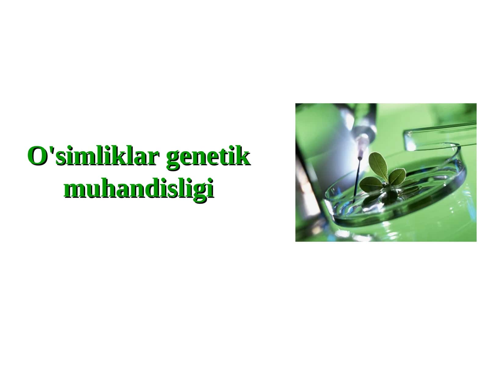 O'simliklar genetik muhandisligi