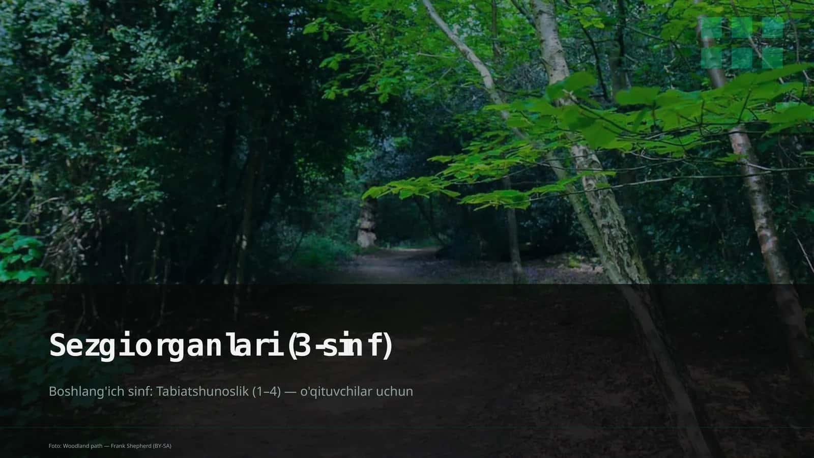 Sezgi organlari (3-sinf)