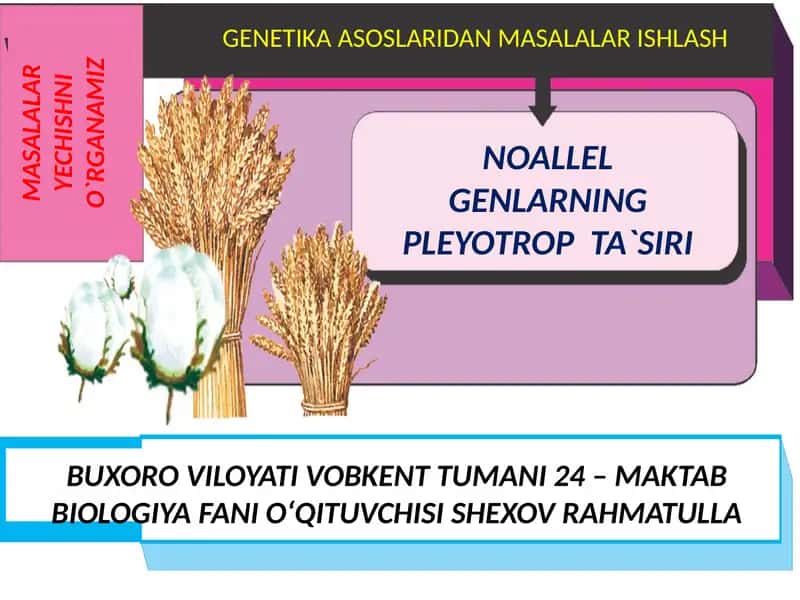 Organizimning nerv immun endokrin boshqariluvi