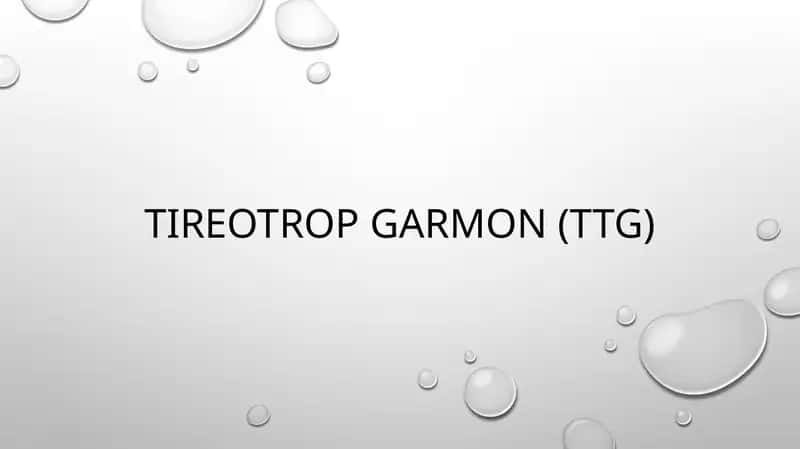 Tireotrop gormon (TTG)