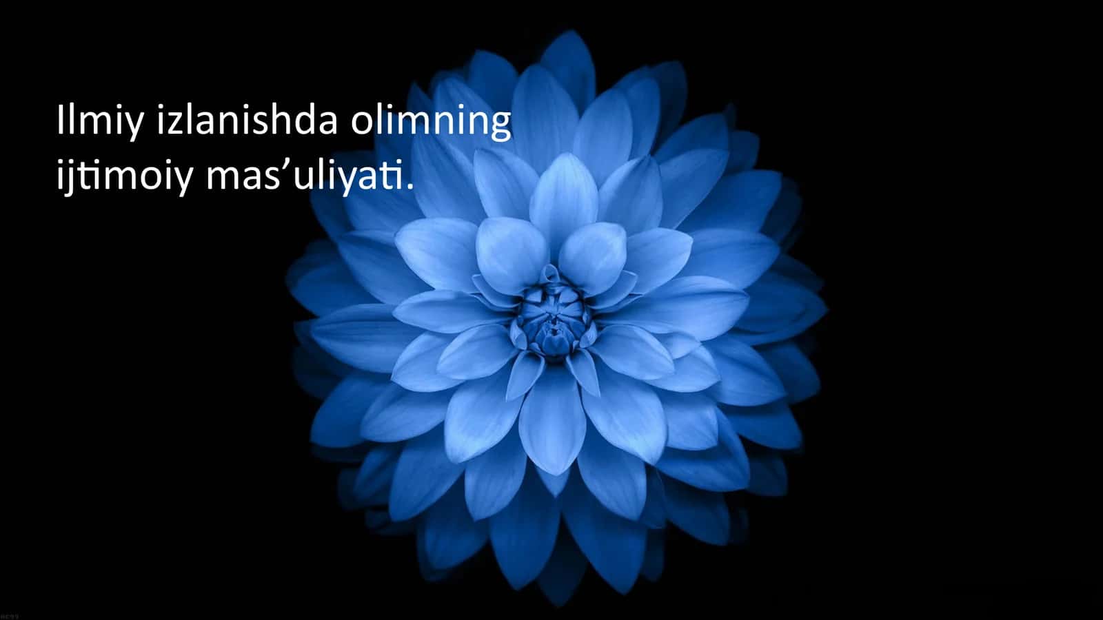 Ilmiy izlanishda olimning ijtimoiy mas’uliyati