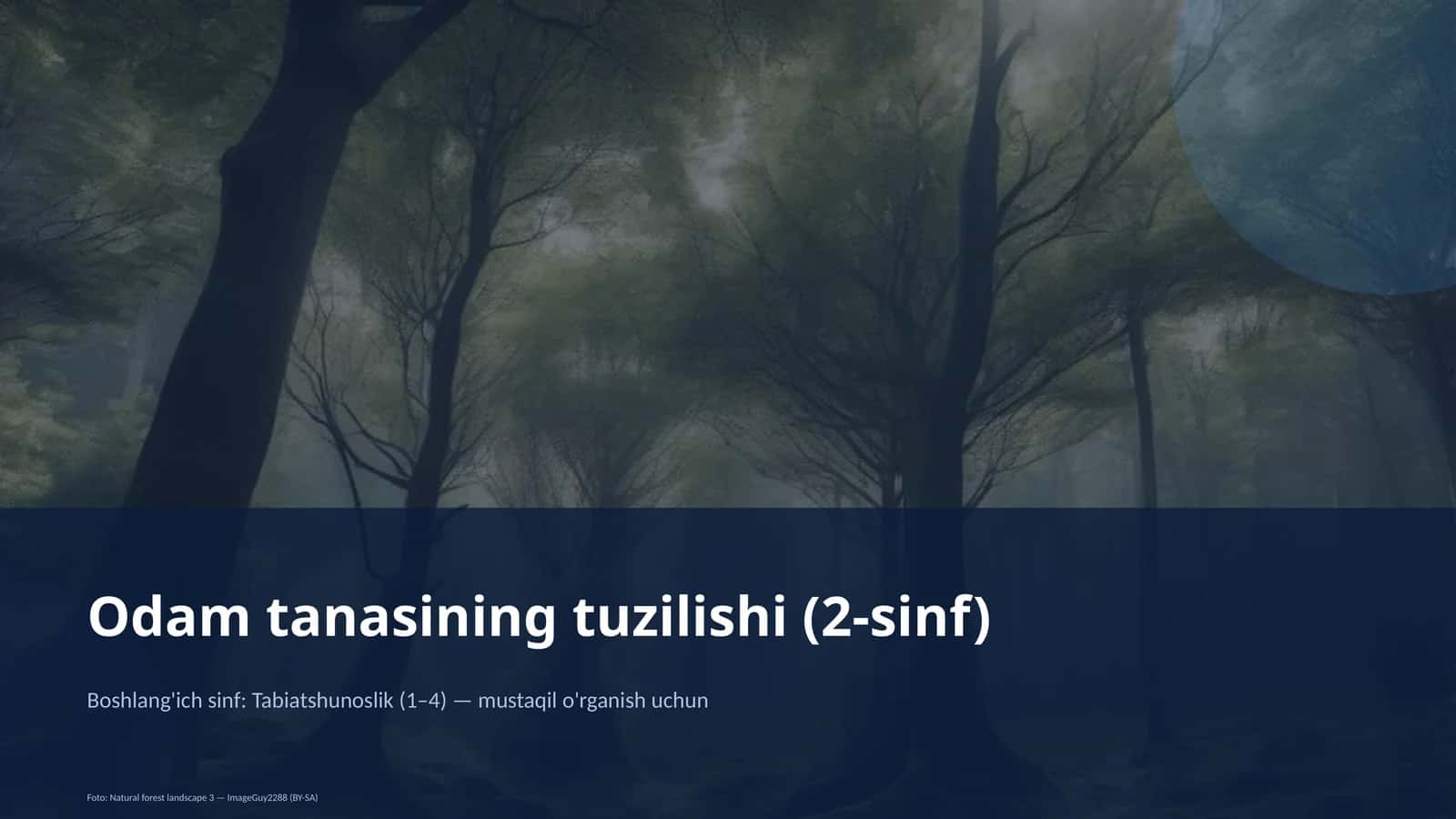 Odam tanasining tuzilishi (2-sinf)