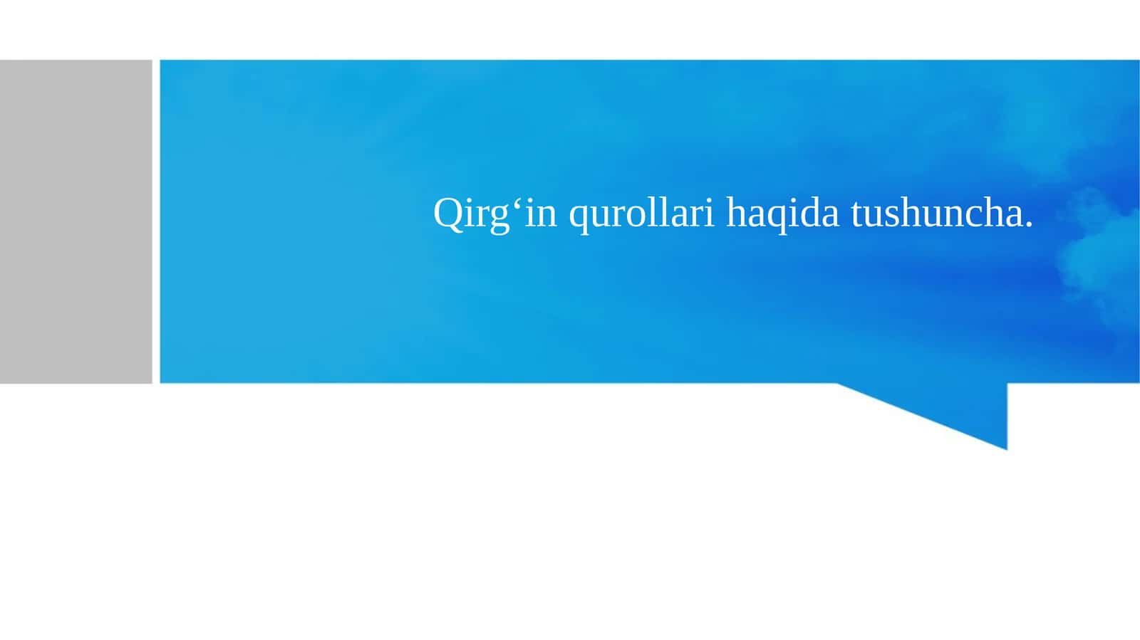 Qirg'in qurollari mustaqil ish