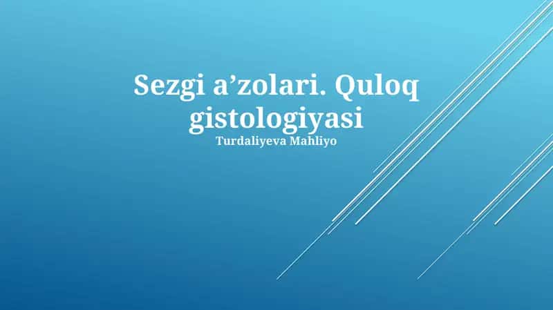 Sezgi aʼzolari. Quloq gistologiyasi