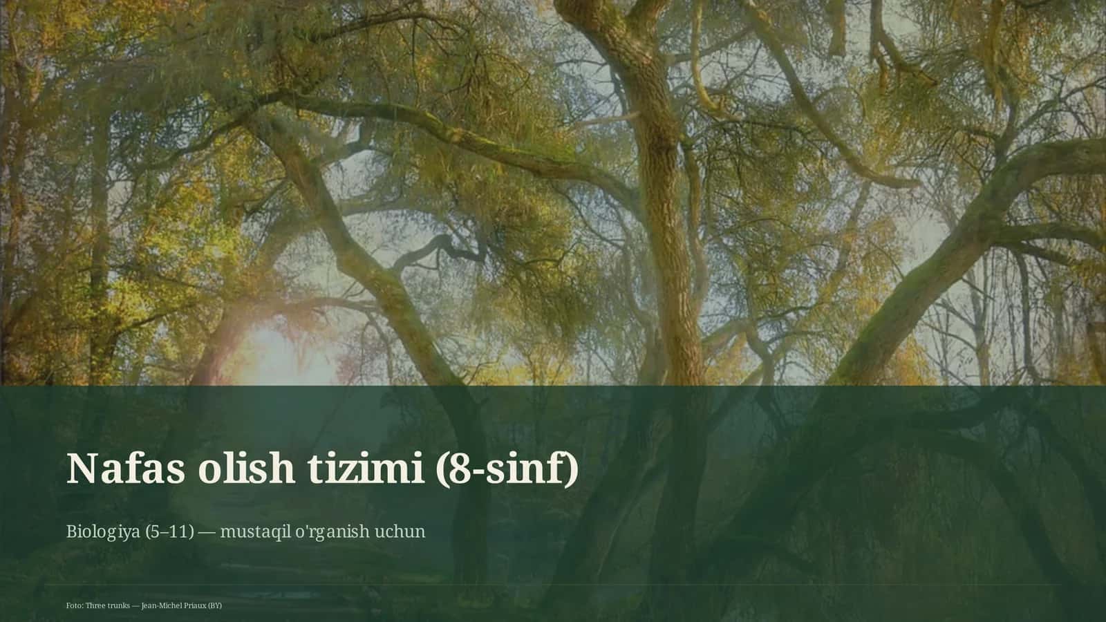 Nafas olish tizimi (8-sinf)