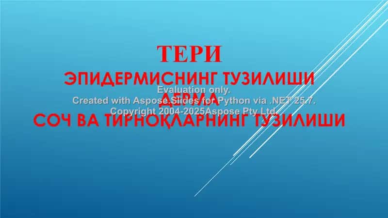 Тери тузилганлиги