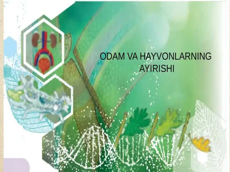 Odam va hayvonlarning ayirishi