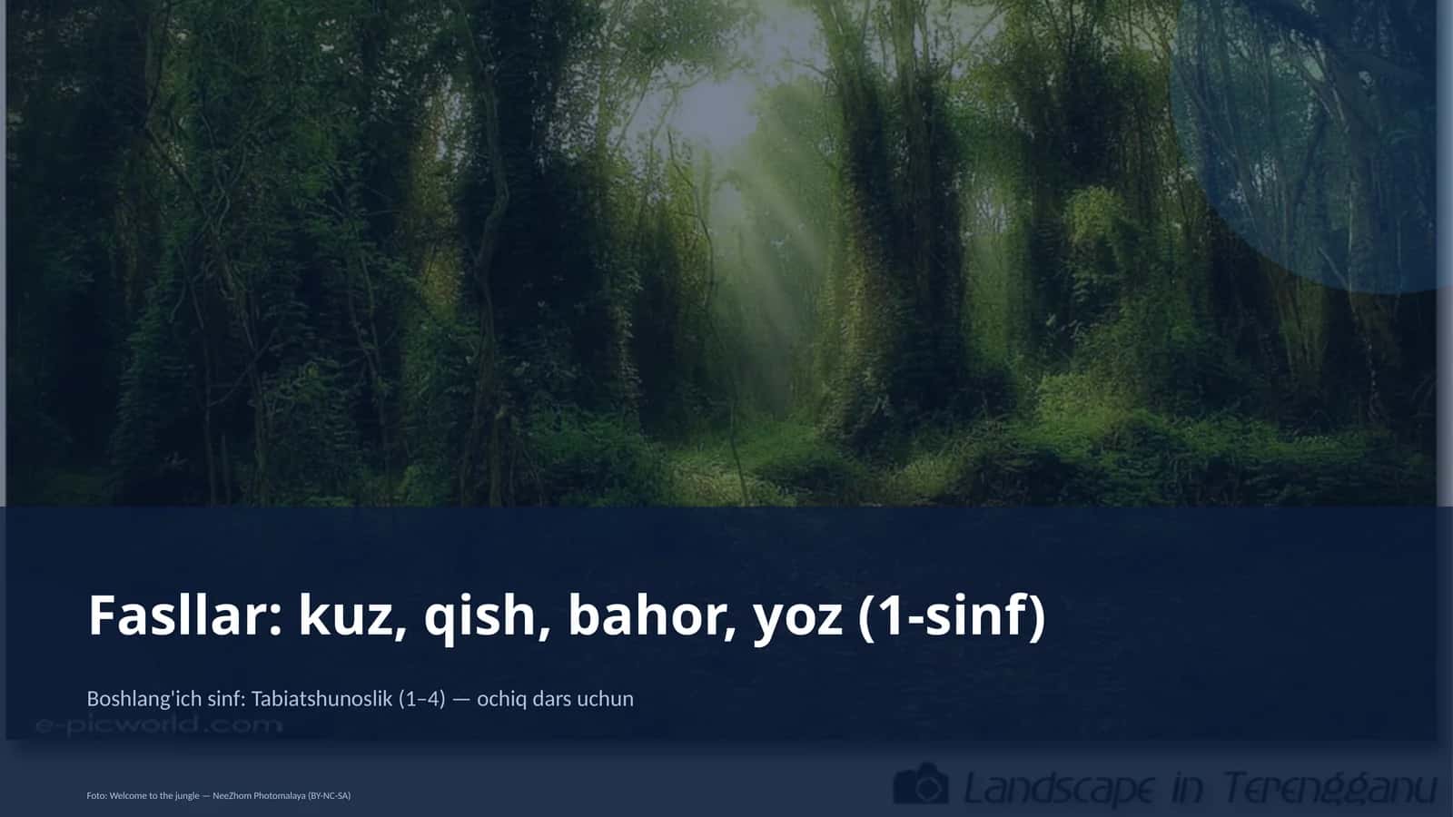 Tabiatshunoslik darsi