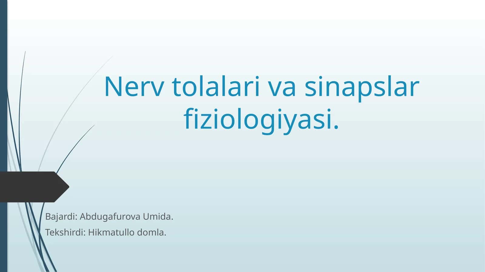 Nerv tolalari va sinapslar fiziologiyasi