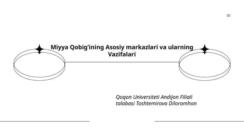 Miyya Qobig’ining Asosiy markazlari va ularning Vazifalari