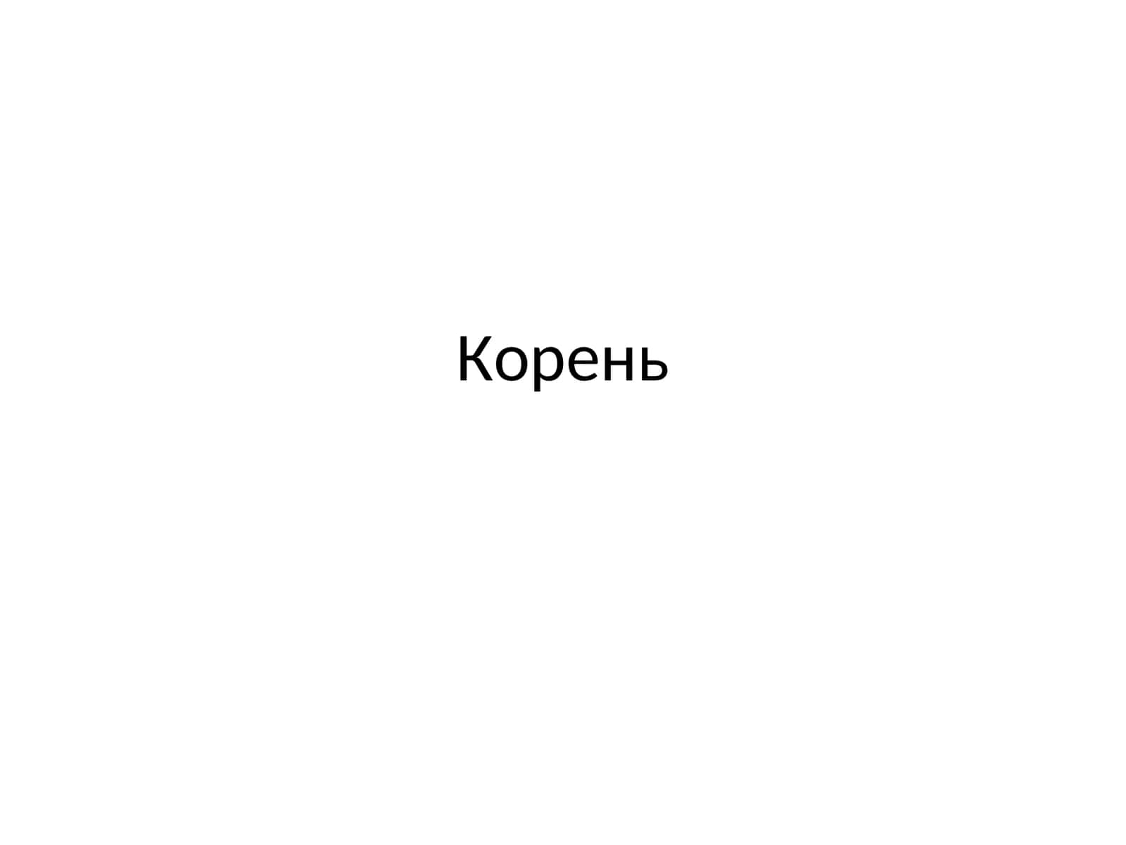 Корень