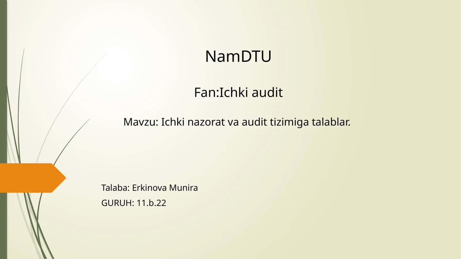 Ichki nazorat