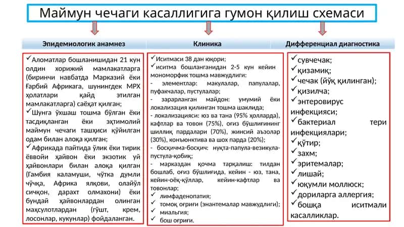 Маймун чечаги касаллигига гумон қилиш схемаси