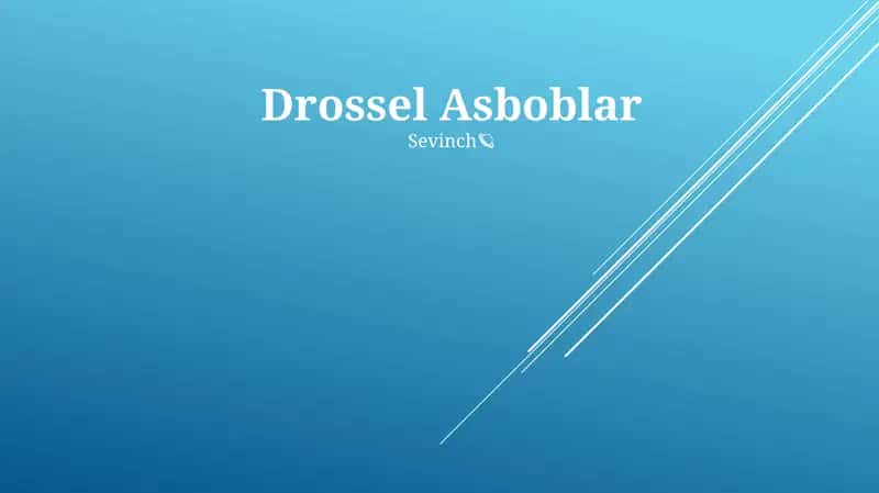 Drossel Asboblar