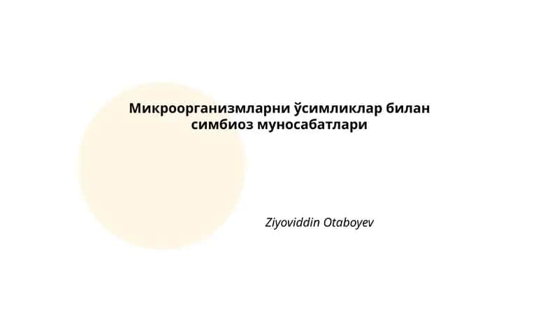Микроорганизмларни ўсимликлар билан симбиоз муносабатлари