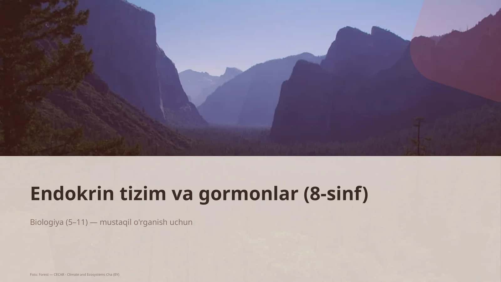 Endokrin tizim va gormonlar (8-sinf)