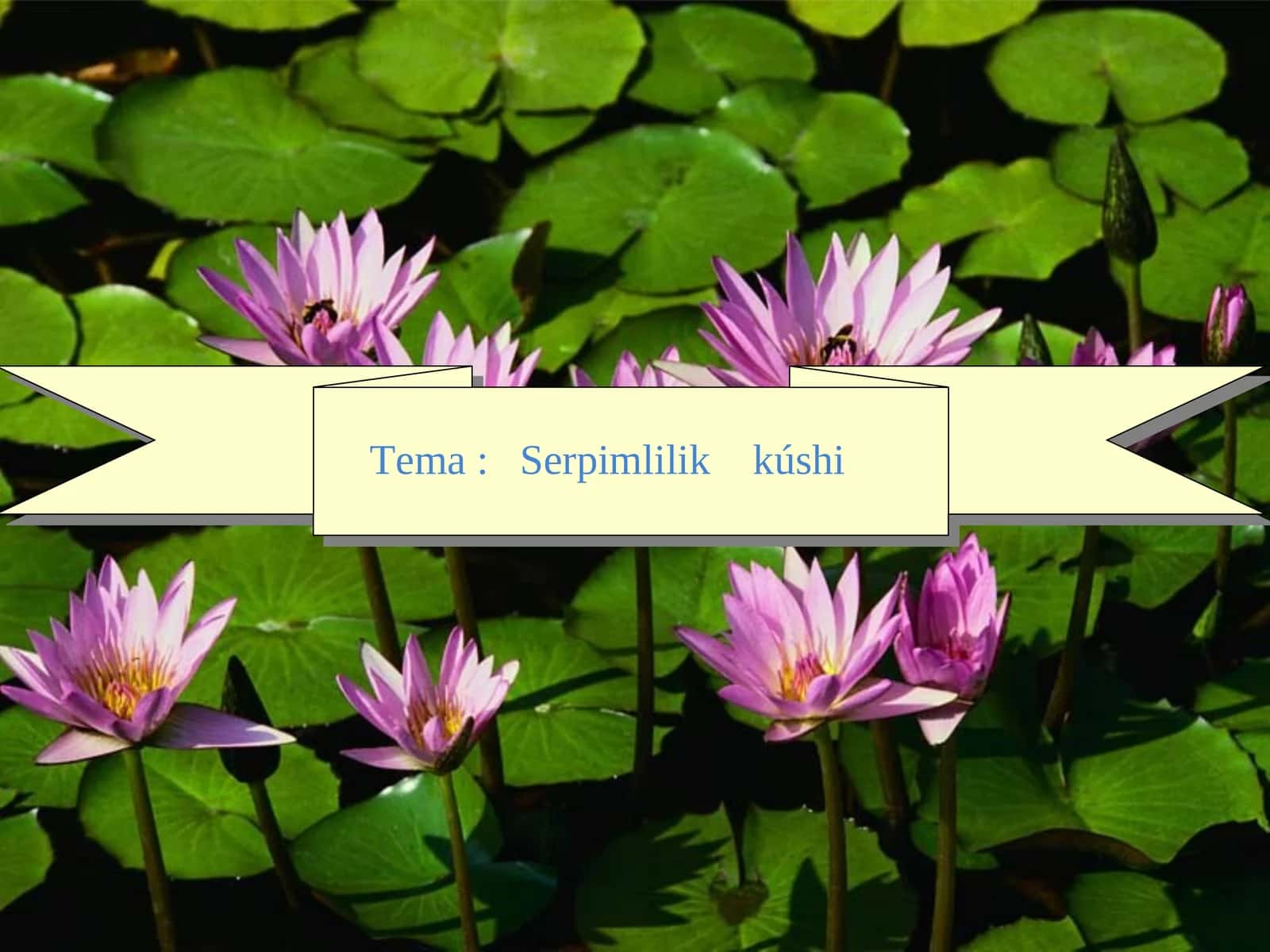 Serpimlilik kúshi