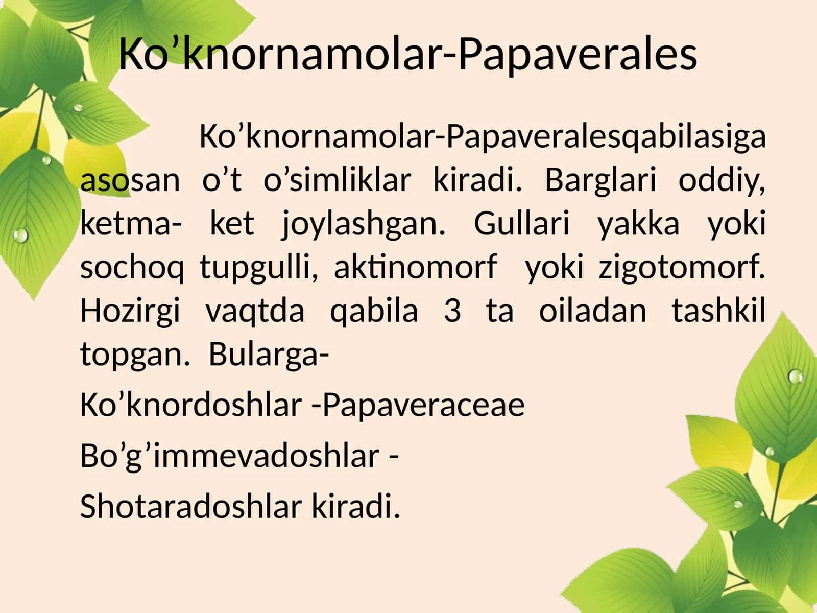 Ko’knornamolar-Papaverales