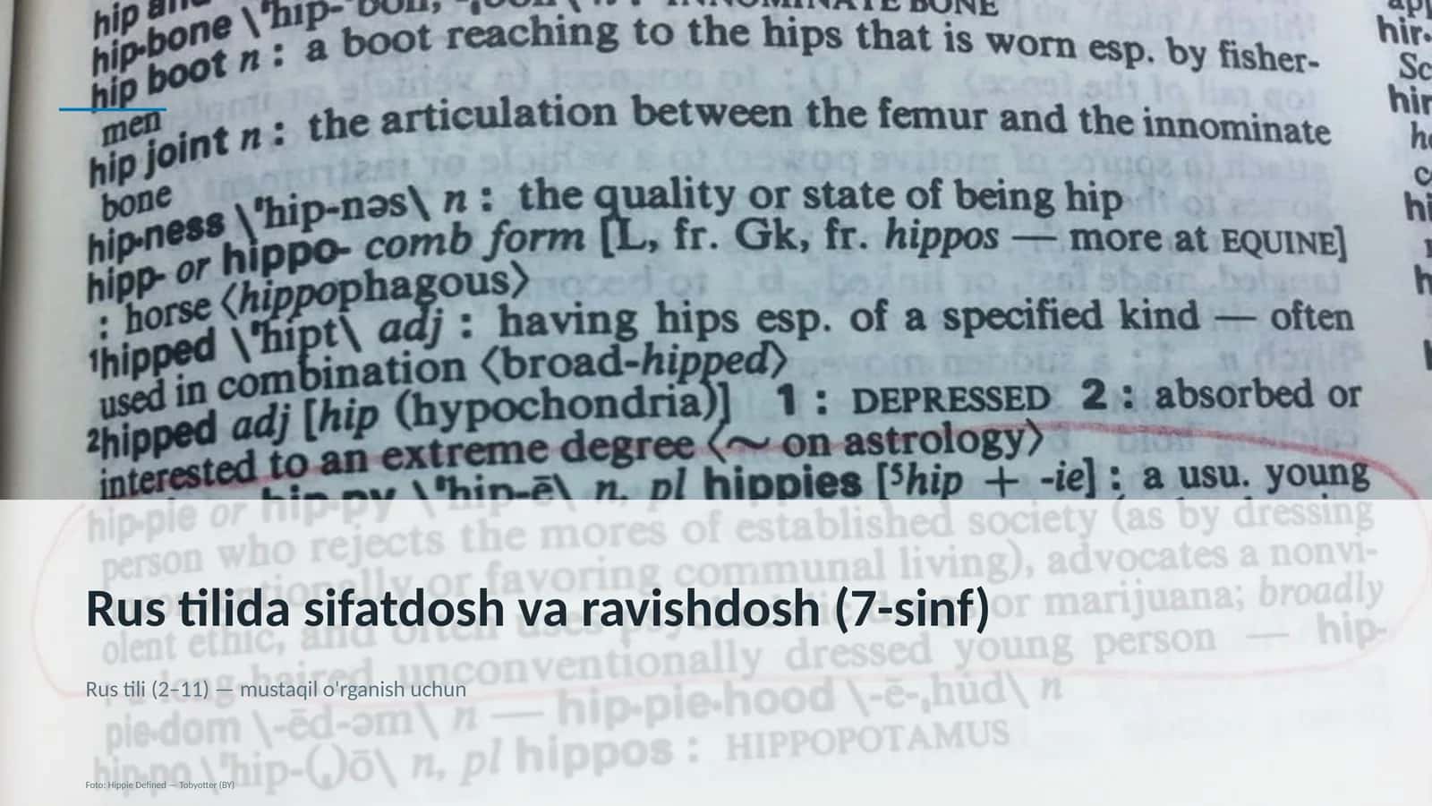 Rus tilida sifatdosh va ravishdosh (7-sinf)