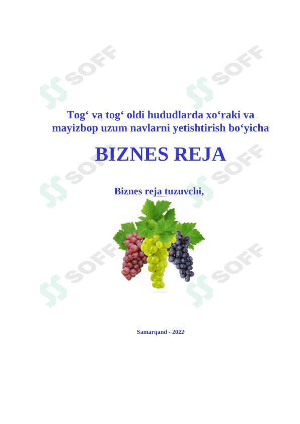BIZNES REJA