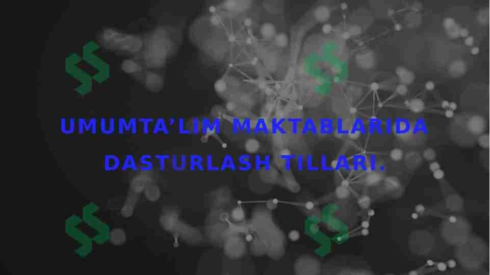 Umumta’lim maktablarida dasturlash tillari