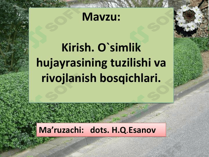 Oʻsimlik hujayrasining tuzilishi va rivojlanish bosqichlari