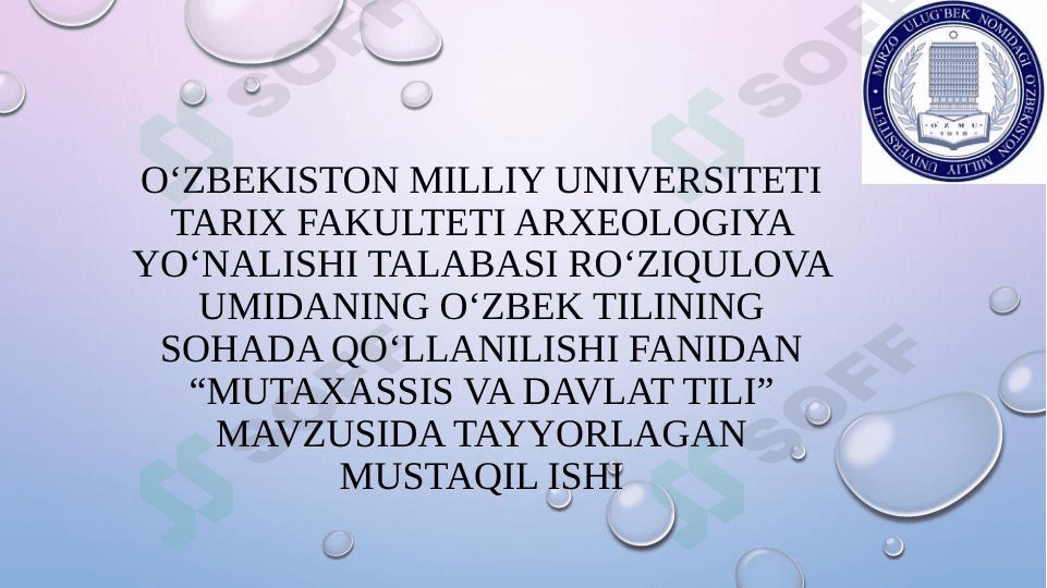 Mutaxassis va davlat tili