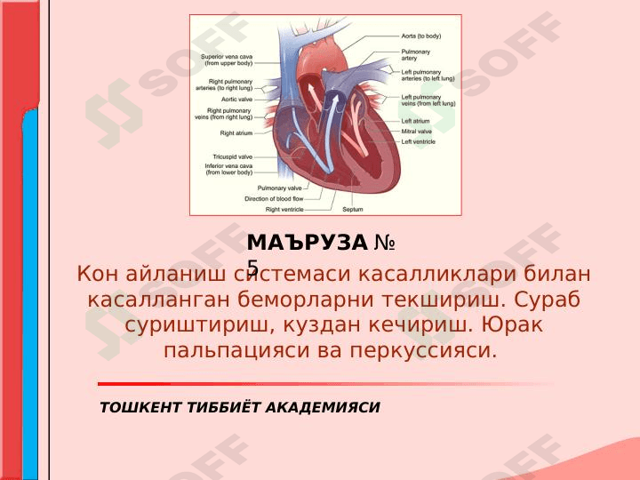 Qon aylanish sistemasi kassaliklari