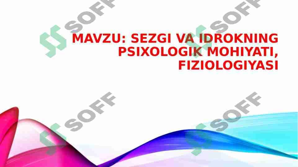 Sezgi va idrok