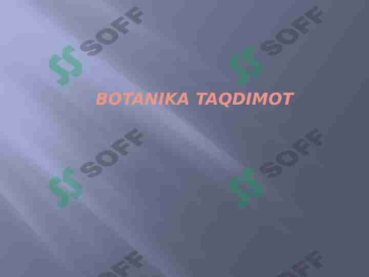 Kovulnomalar qabilasi