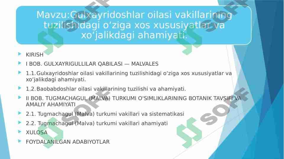 Gulxayridoshlar oilasi vakillarining tuzilishidagi o‘ziga xos xususiyatlar