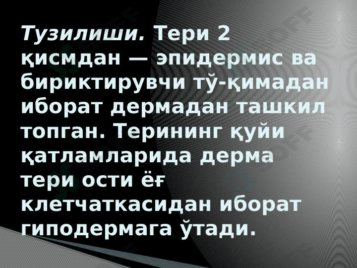 Teri gistalogiyasi