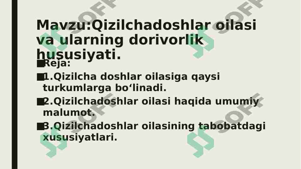 Qizilchadoshlar oilasi va ularning dorivorlik hususiyati