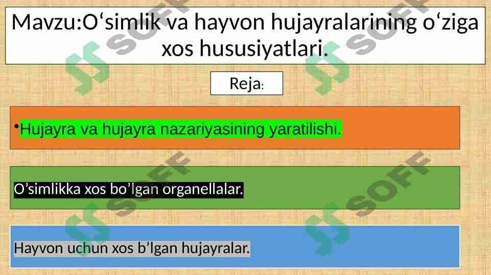 Oʻsimlik va hayvon hujayralarining oʻziga xos hususiyatlari
