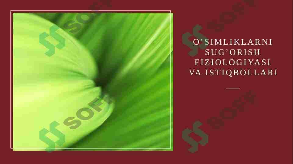 O’simliklarni sug’orish fiziologiyasi va istiqbollari
